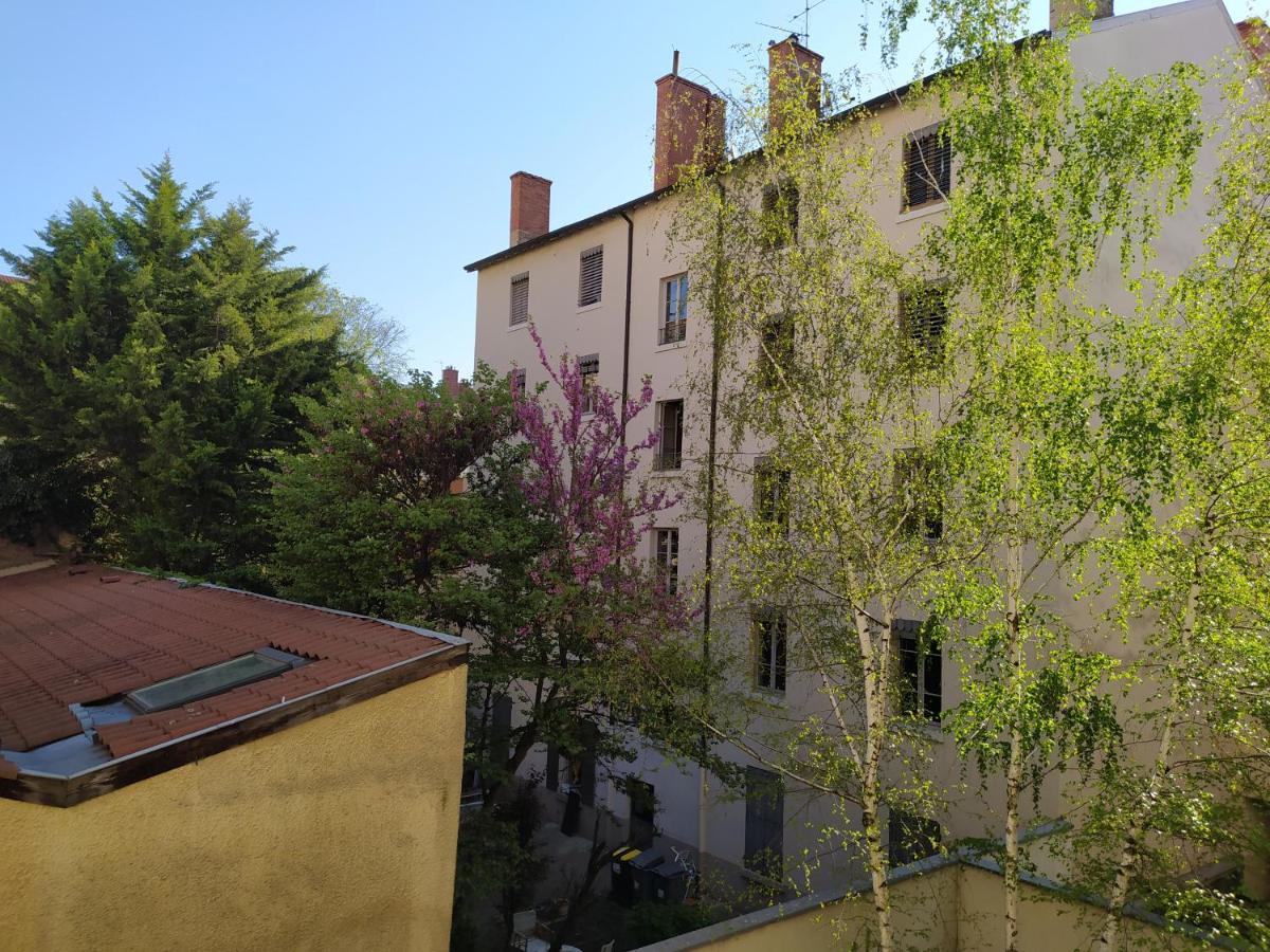 Berge Du Rhone, Centre Lyon, Espace De Travail, Tout A Pied, Universite Lyon 2 Et Lyon 3, Ideal Voyage D'Affaires, Tourisme, Loisirs Εξωτερικό φωτογραφία