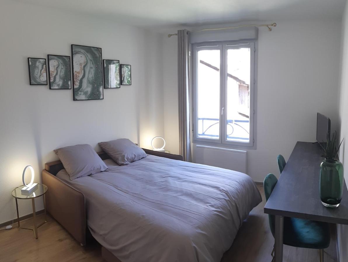 Berge Du Rhone, Centre Lyon, Espace De Travail, Tout A Pied, Universite Lyon 2 Et Lyon 3, Ideal Voyage D'Affaires, Tourisme, Loisirs Εξωτερικό φωτογραφία